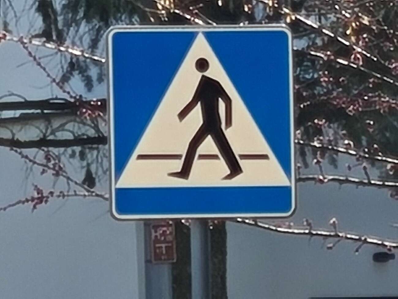 Test Samsung Galaxy S20. Kompaktowy flagowiec bez kompleksów