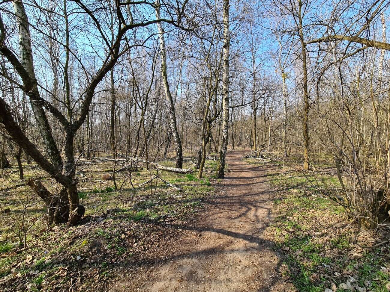 Test Samsung Galaxy S20. Kompaktowy flagowiec bez kompleksów