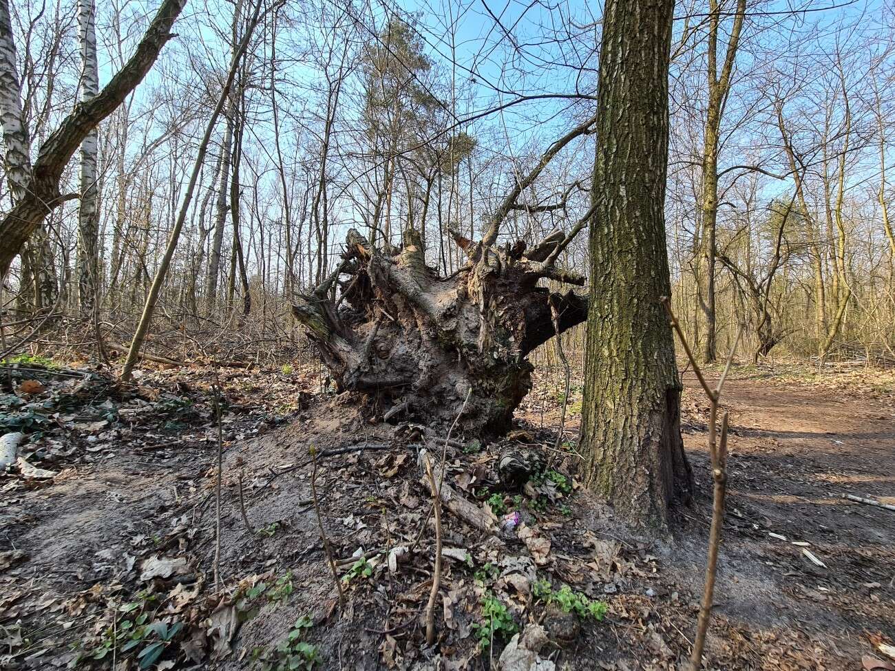 Test Samsung Galaxy S20. Kompaktowy flagowiec bez kompleksów