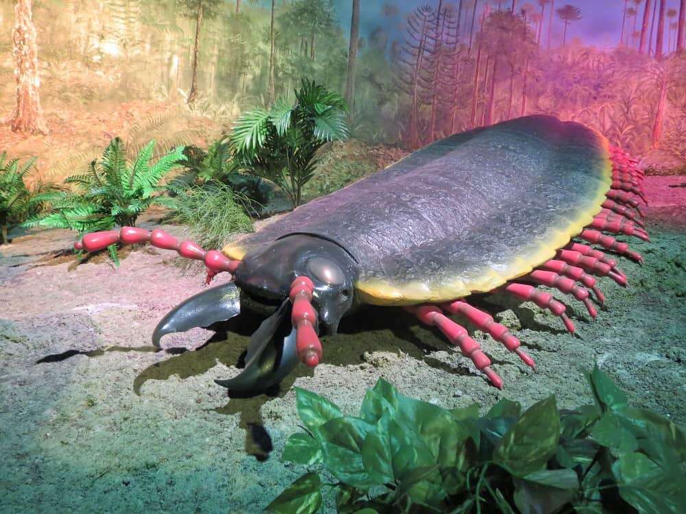 Dlaczego zwierzęta zamieszkujące Ziemię w przeszłości były tak duże?