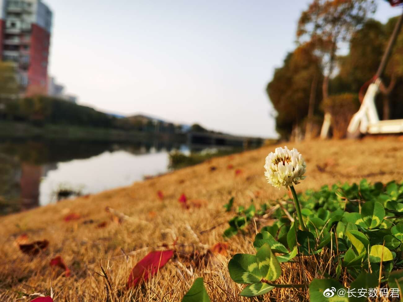 Huawei P40 Pro już czaruje zdjęciami i ma niespodziankę w notchu