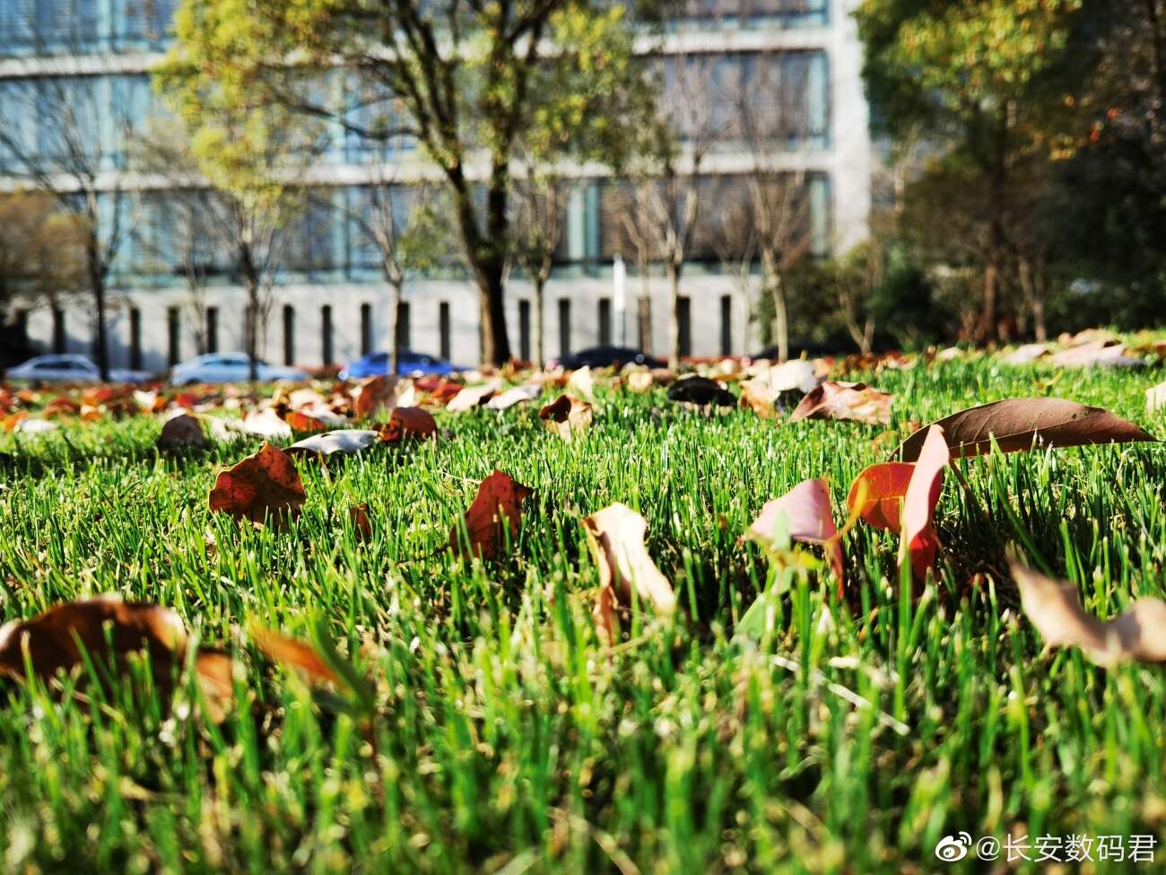 Huawei P40 Pro już czaruje zdjęciami i ma niespodziankę w notchu