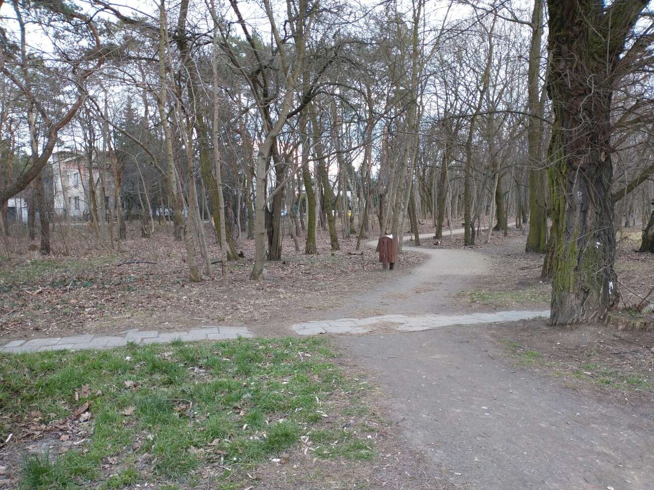 Test telefonu Motorola Moto G8 Power. Najbardziej kompletna Motorola jakiej mi brakowało