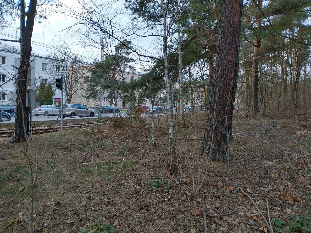 Test telefonu Motorola Moto G8 Power. Najbardziej kompletna Motorola jakiej mi brakowało