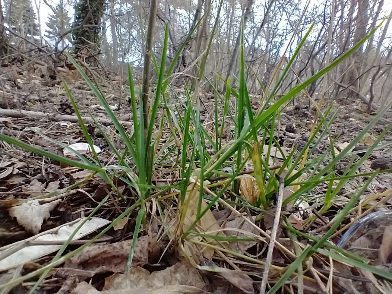 Test telefonu Motorola Moto G8 Power. Najbardziej kompletna Motorola jakiej mi brakowało