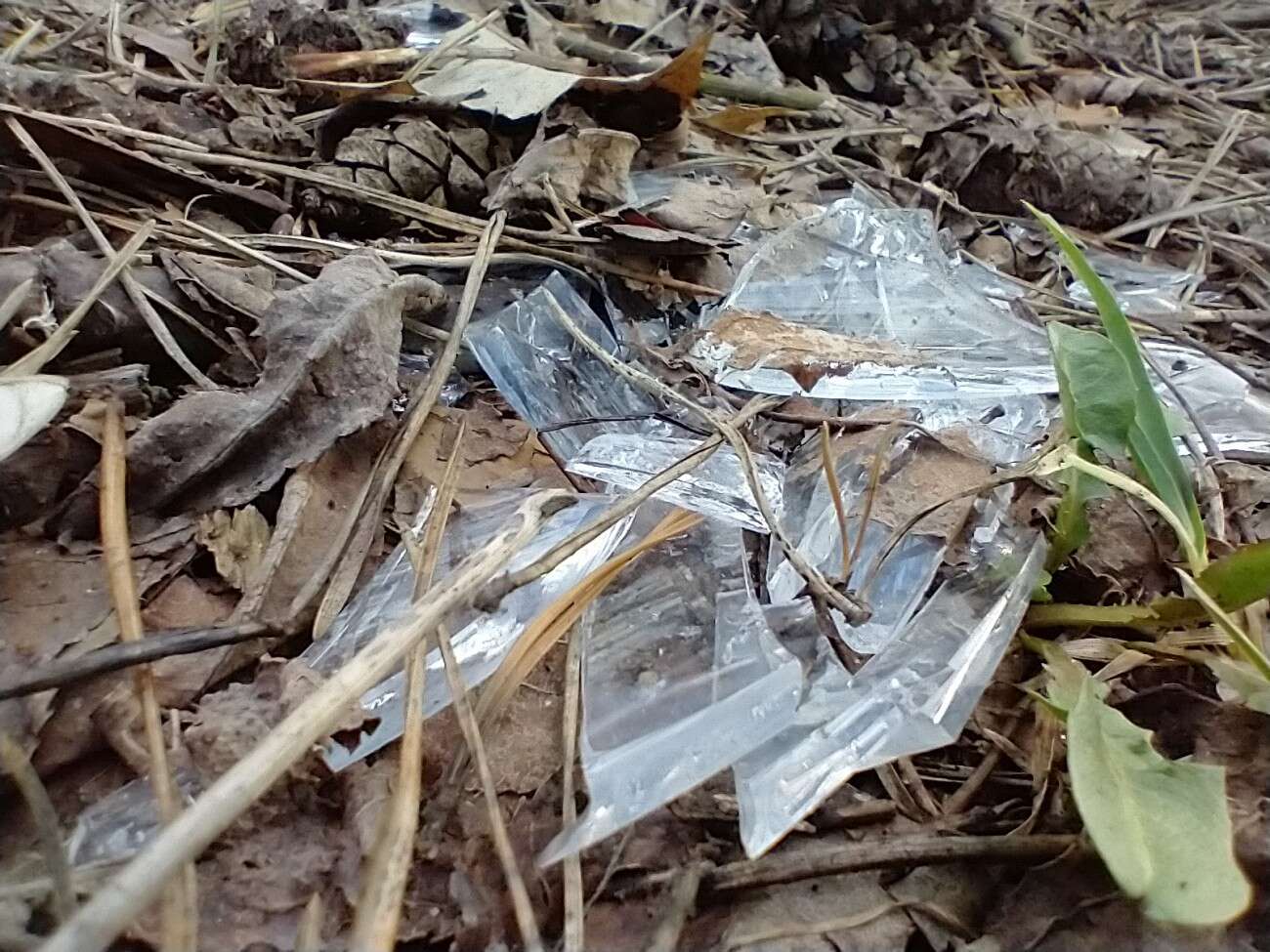 Test telefonu Motorola Moto G8 Power. Najbardziej kompletna Motorola jakiej mi brakowało