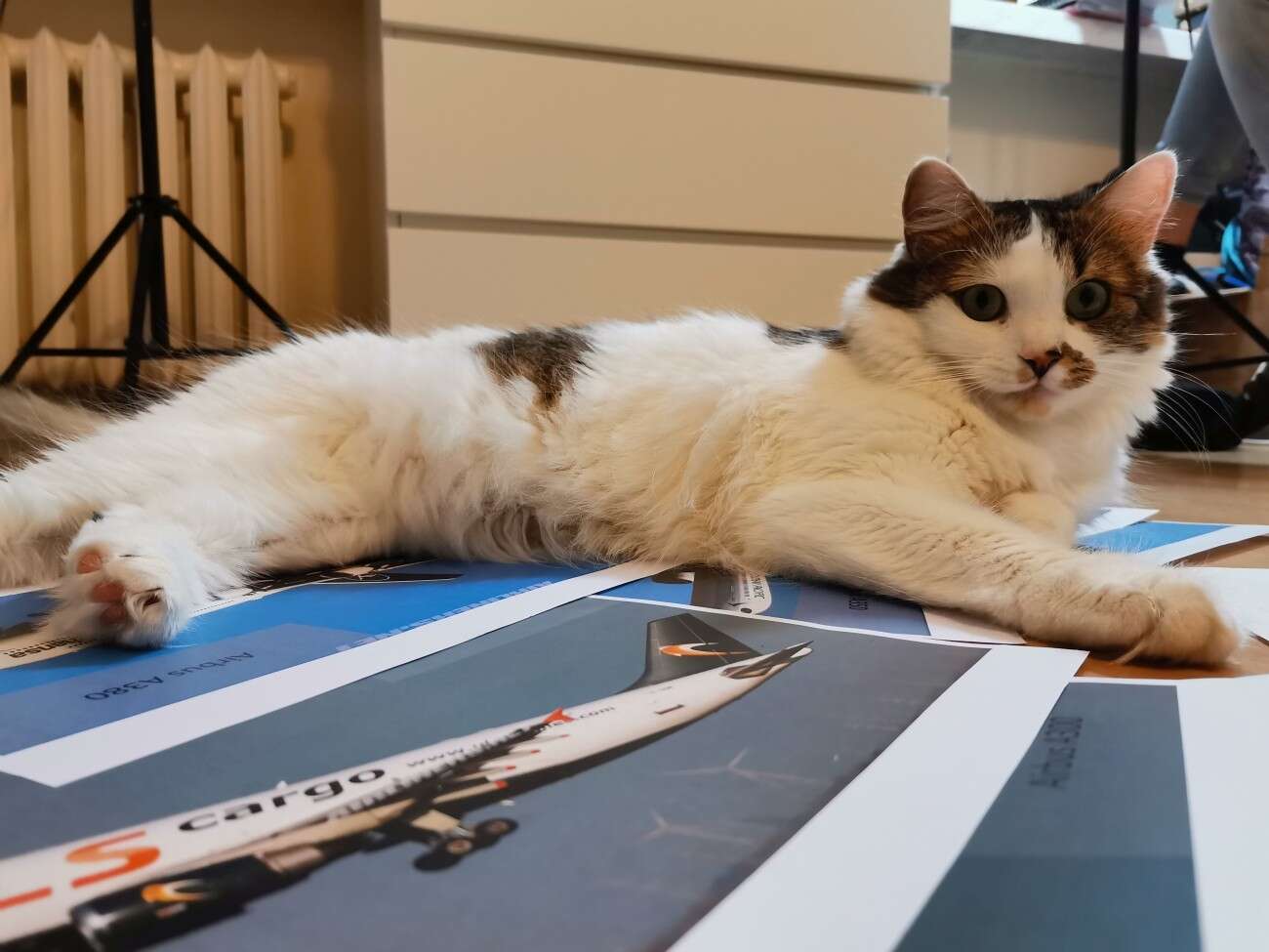 Test Huawei P40 Lite. Najważniejszy Lite w historii firmy