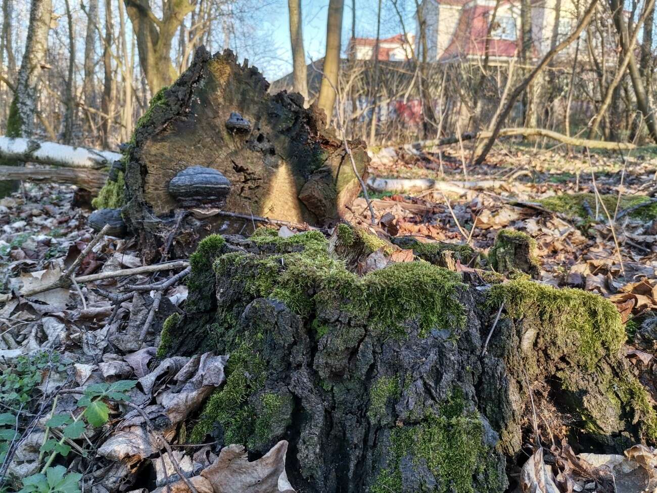 Test Huawei P40 Lite. Najważniejszy Lite w historii firmy