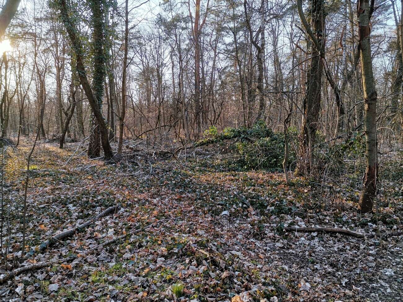 Test Huawei P40 Lite. Najważniejszy Lite w historii firmy