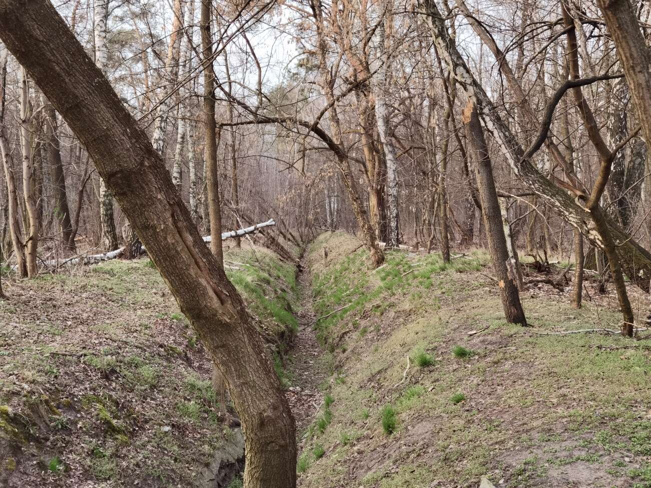 Takie zdjęcia robi Huawei P40 Pro