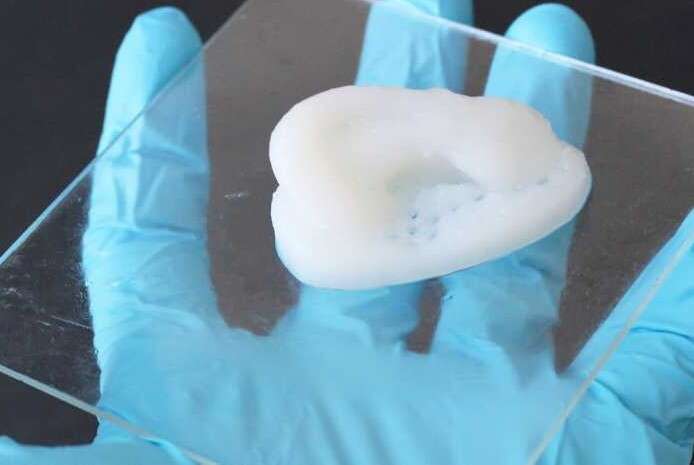 Naturalne drukowanie 3D z budulca roślin coraz bliżej