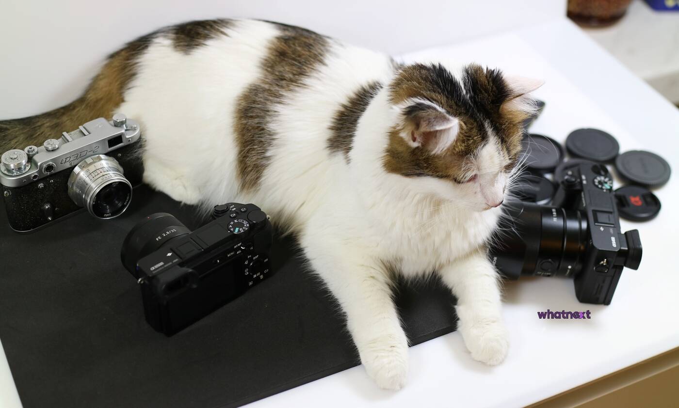 Test aparatu Sony A6500