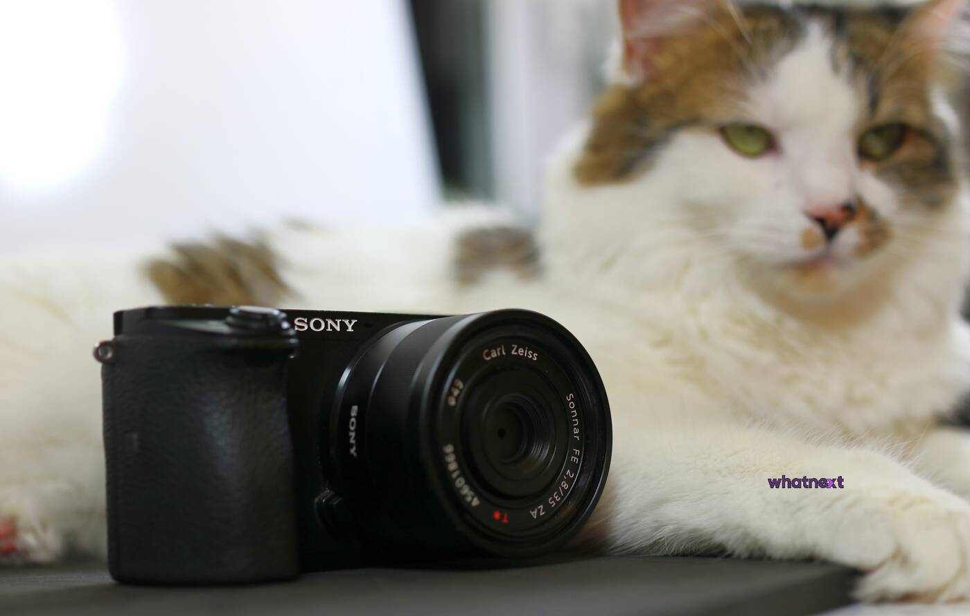 Test aparatu Sony A6500