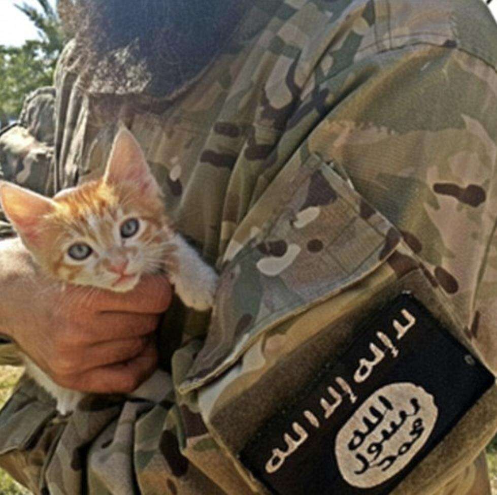 słodkość, broń, badania marynarki, manipulacja