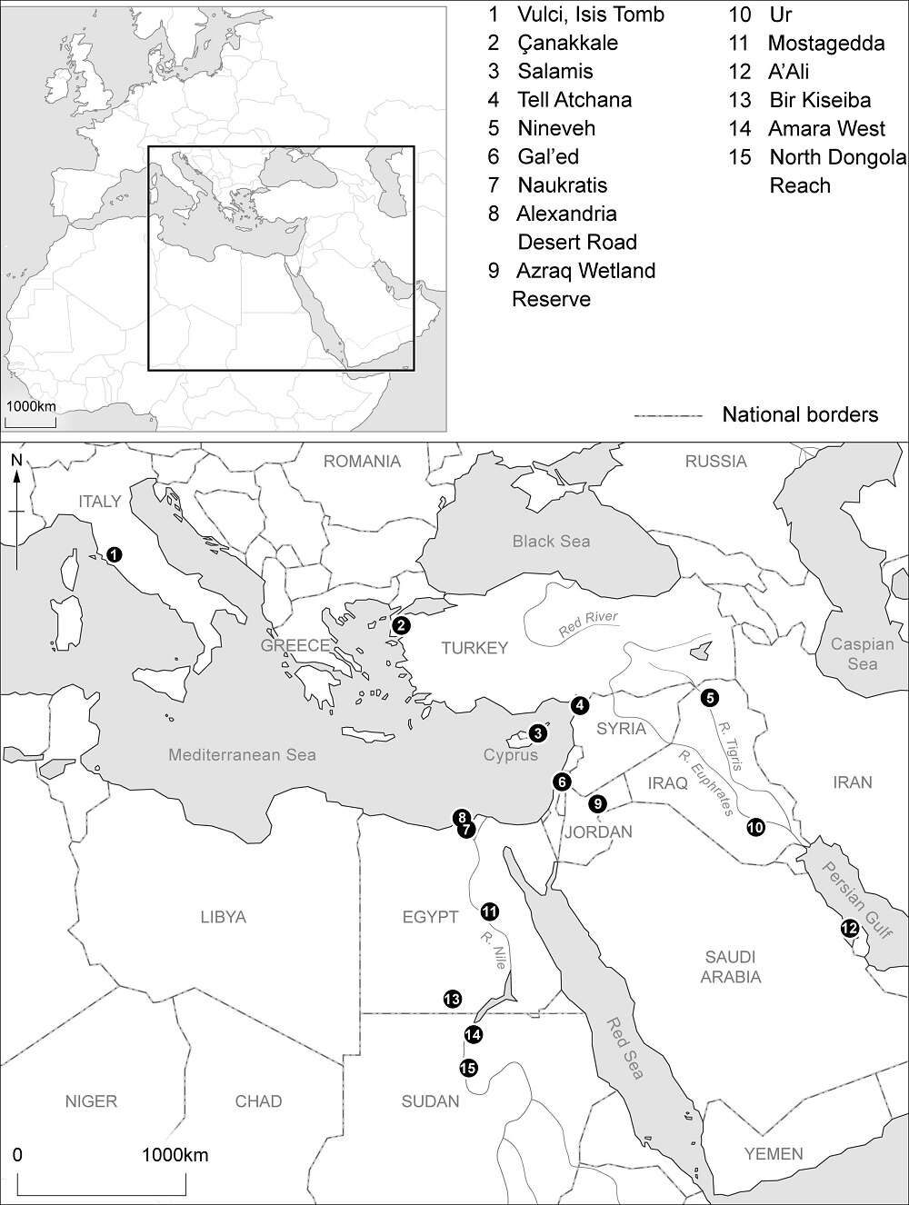 Handel strusimi jajami w starożytności - co o nim wiemy?