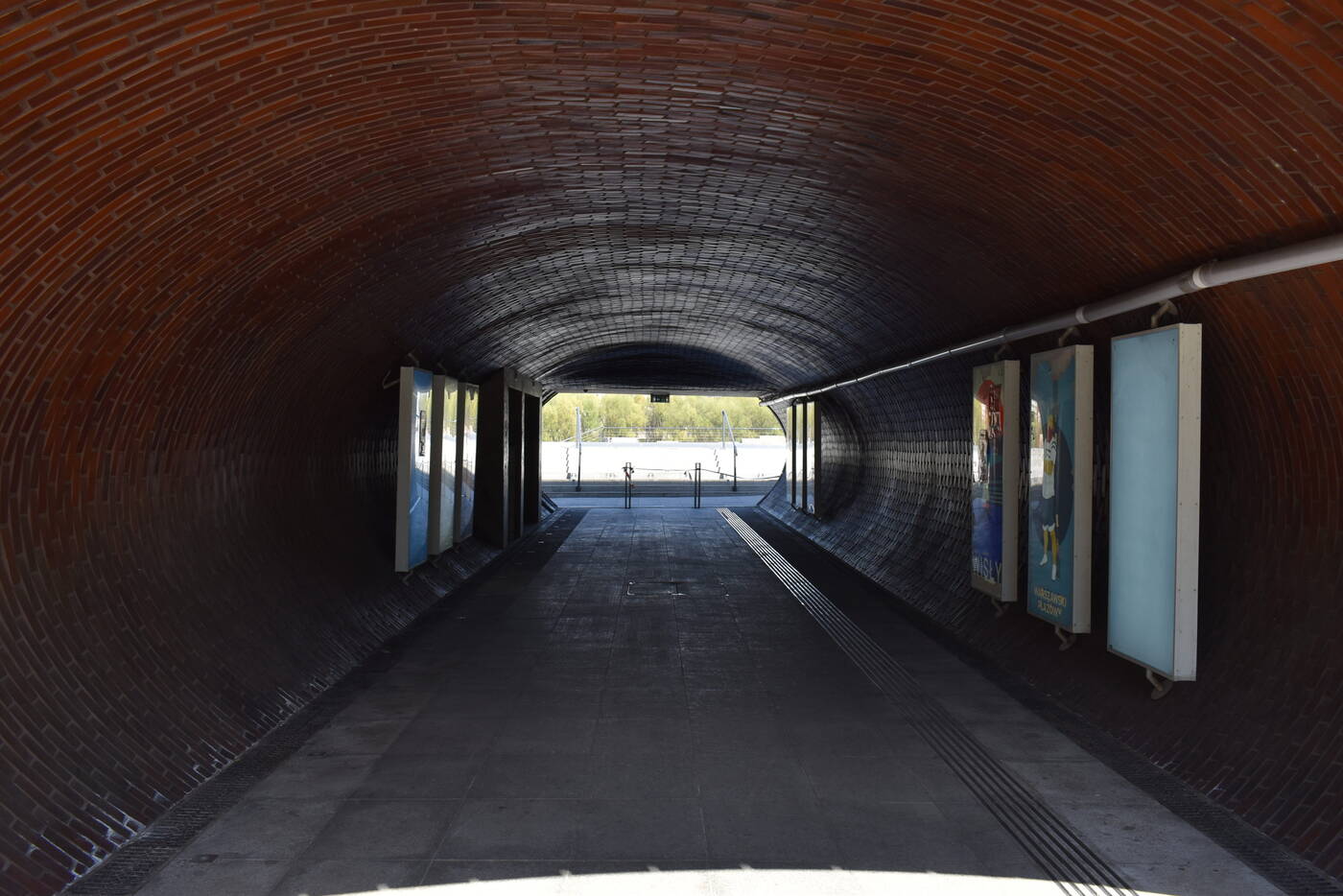 Smartfon czy lustrzanka? Porównujemy jakość zdjęć