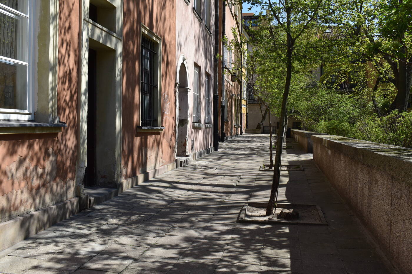 Smartfon czy lustrzanka? Porównujemy jakość zdjęć