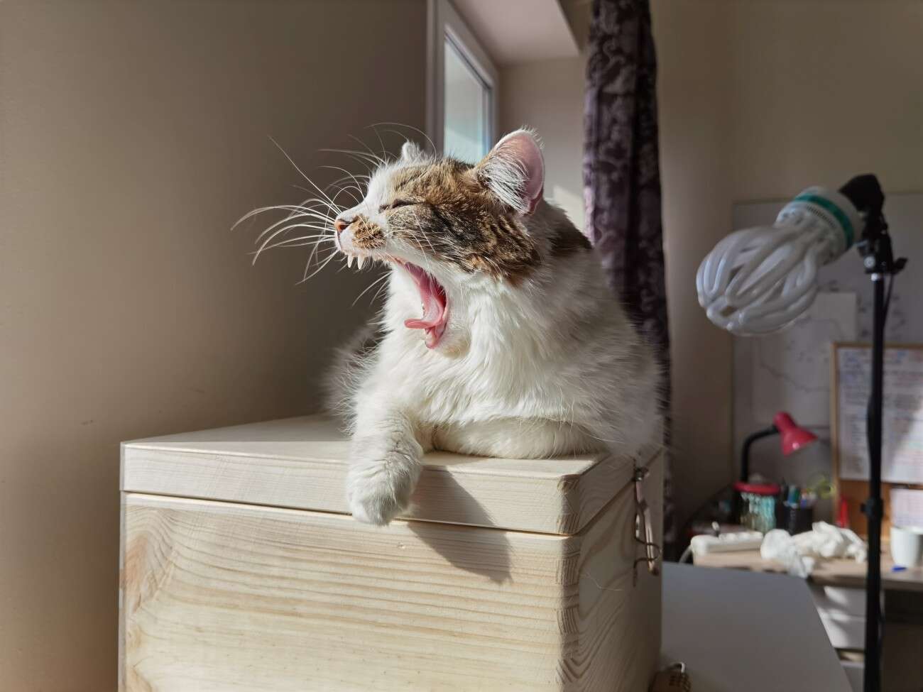 Huawei P40 Pro nie zawiódł. Na taki smartfon czekaliśmy