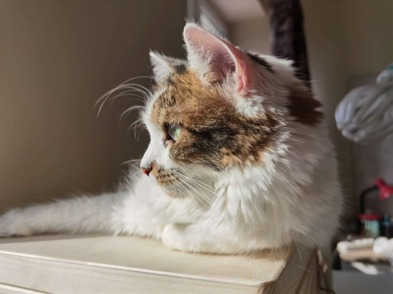 Huawei P40 Pro nie zawiódł. Na taki smartfon czekaliśmy