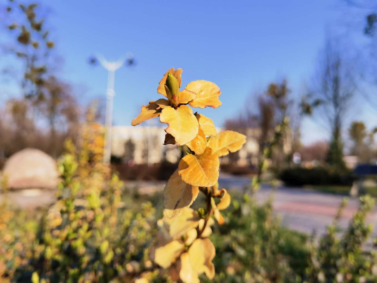 Huawei P40 Pro nie zawiódł. Na taki smartfon czekaliśmy