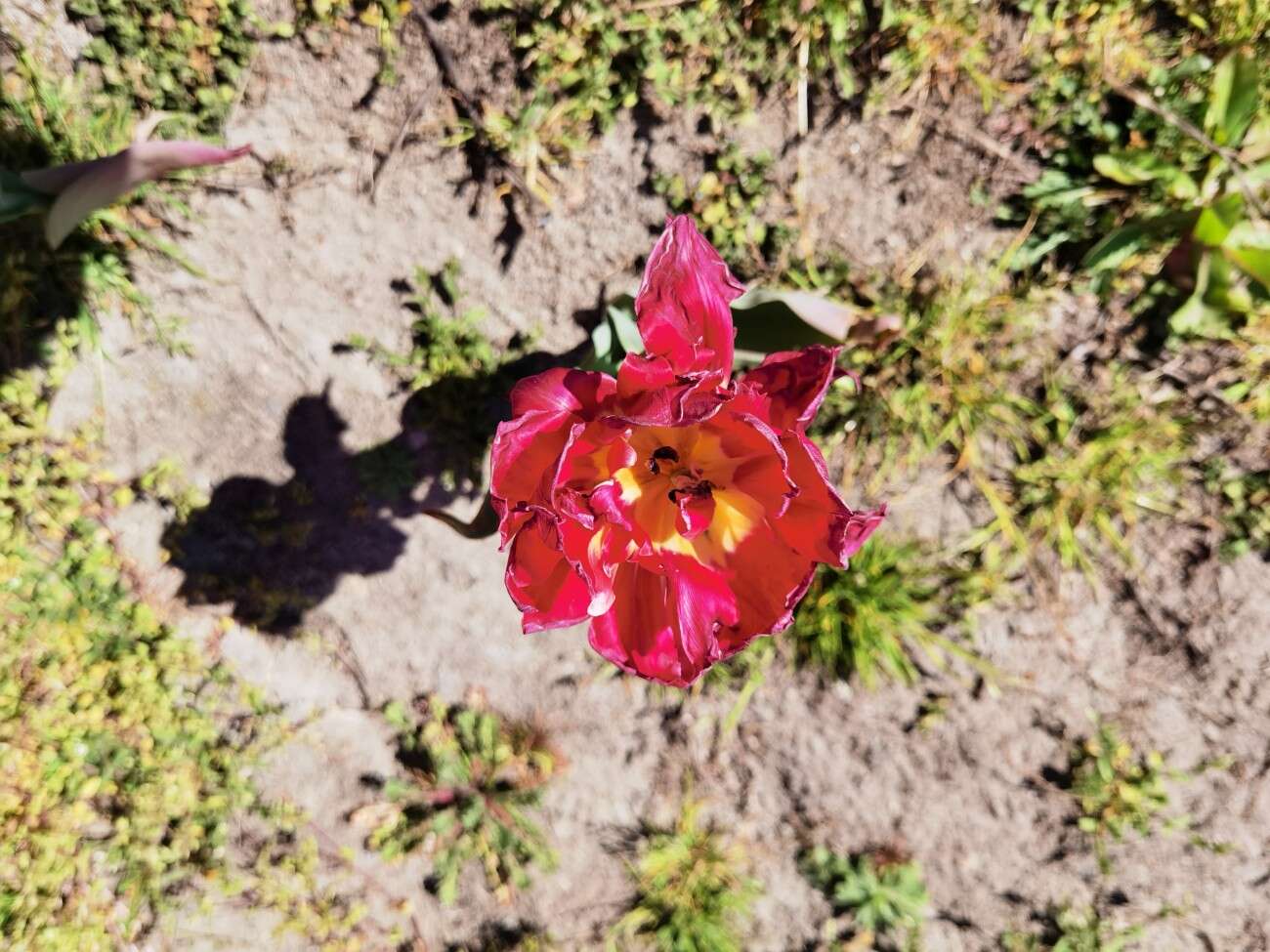 Sięgnij dalej z zoomem Huawei P40 Pro