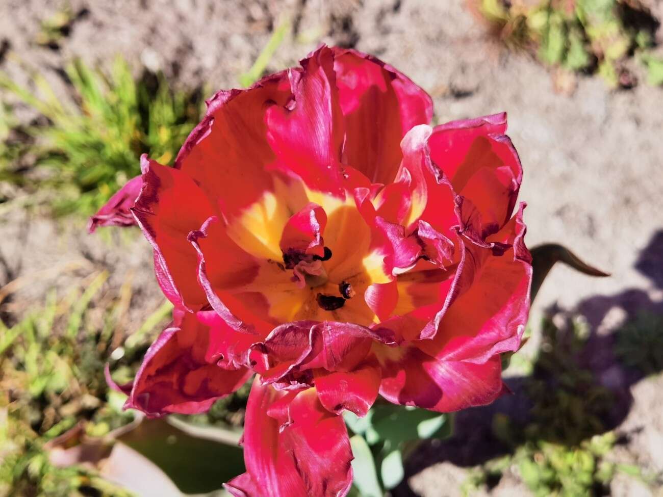 Sięgnij dalej z zoomem Huawei P40 Pro