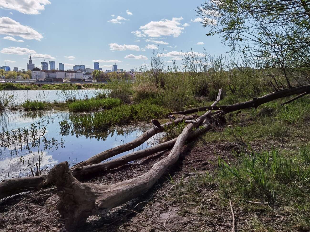 Huawei P40 Pro nie zawiódł. Na taki smartfon czekaliśmy
