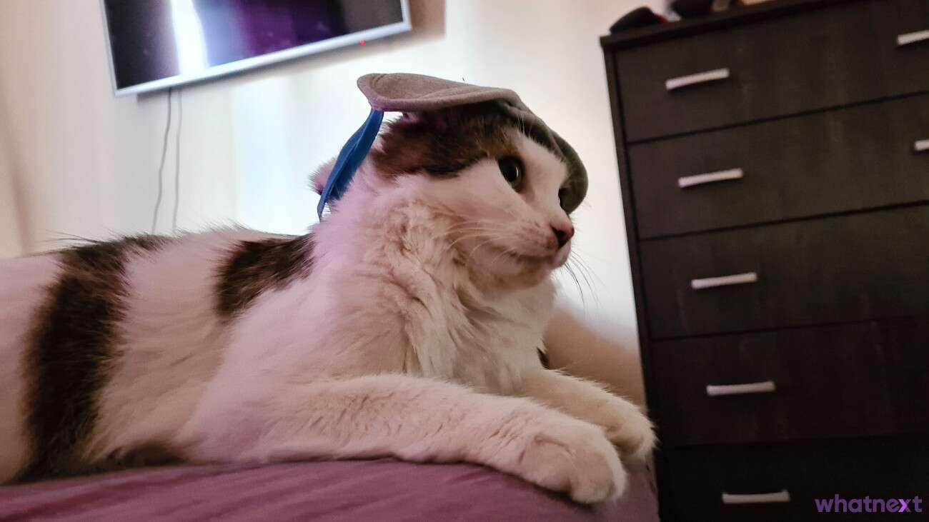 Polacy chronią się przed Koronawirusem. Kto ich obroni przed nimi samymi?