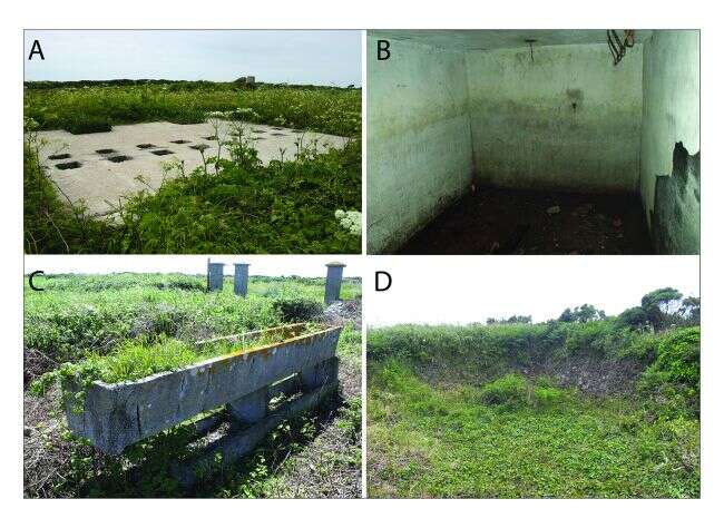 Po latach na jaw wyszły kolejne okrucieństwa nazistów