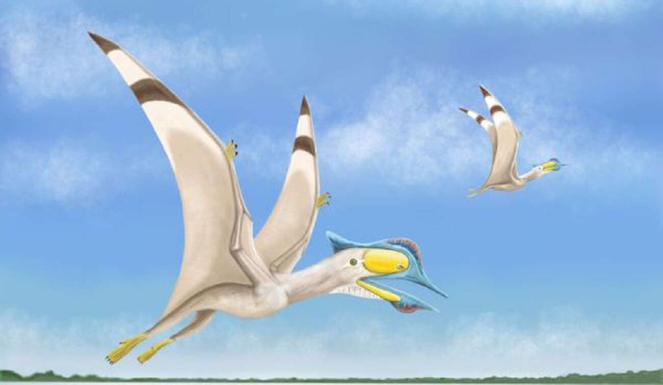 Czym były cztery niedawno odkryte prehistoryczne gady?