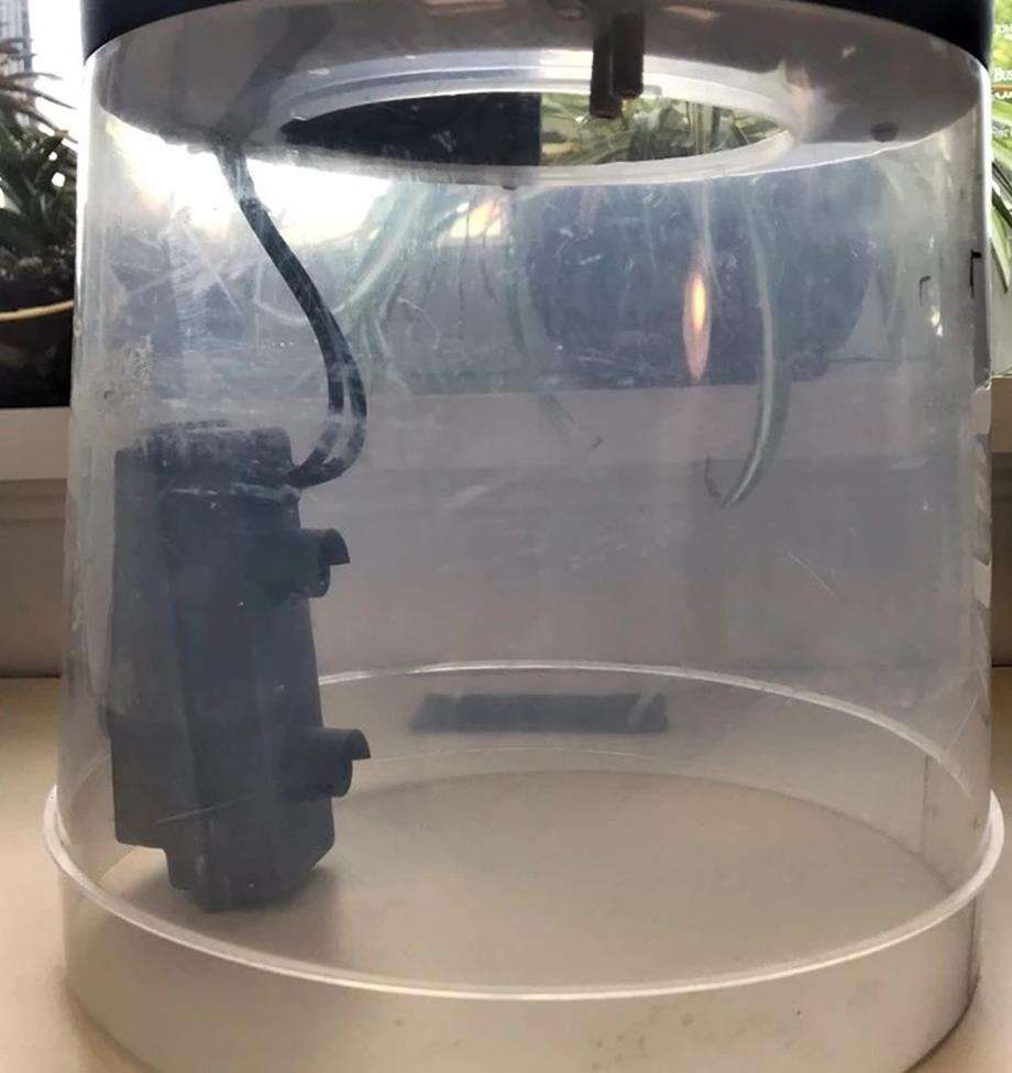 Ta inteligentna pułapka umożliwiła zdalne śledzenie komarów