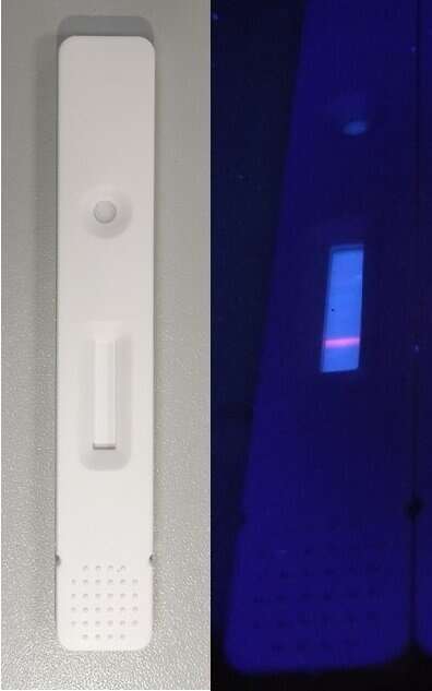 Nowy test może wykryć zakażonego koronawirusem w 10 minut. Jak działa?