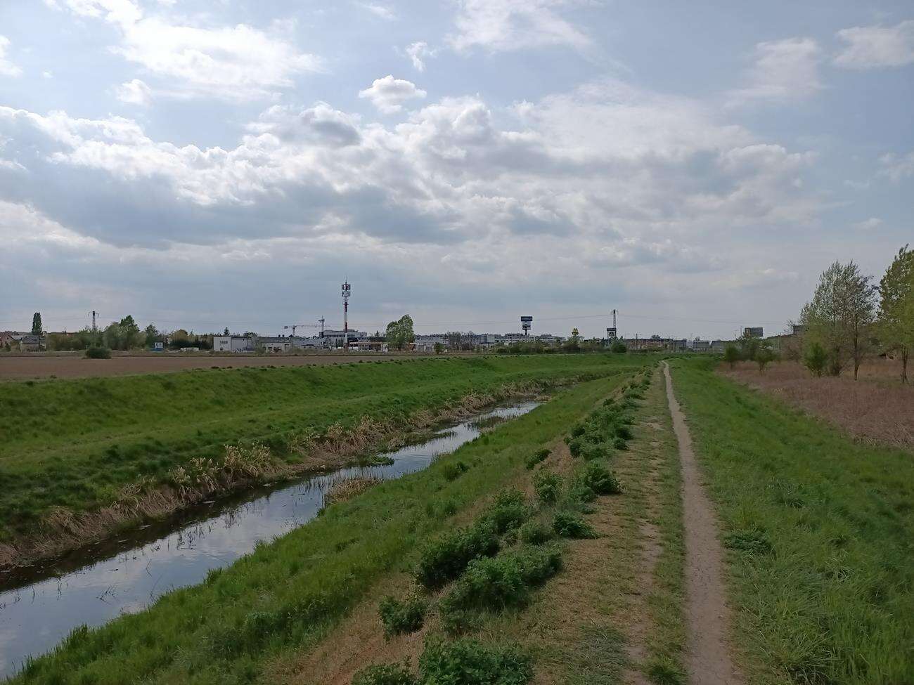 Test Oppo Reno3 - dobre zdjęcia i piękna obudowa w niższej cenie