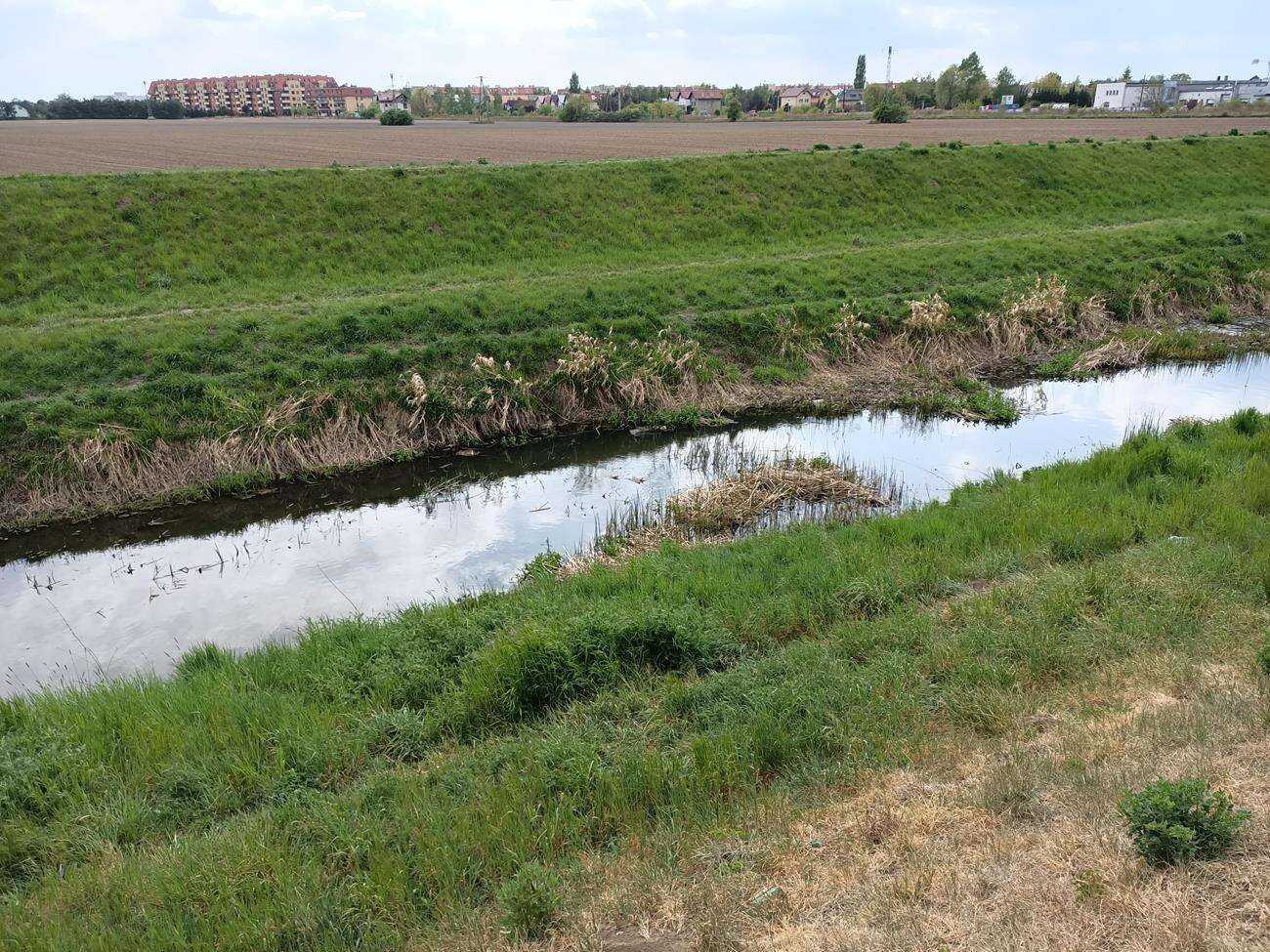 Test Oppo Reno3 - dobre zdjęcia i piękna obudowa w niższej cenie