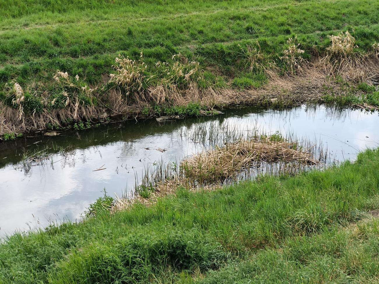 Test Oppo Reno3 - dobre zdjęcia i piękna obudowa w niższej cenie