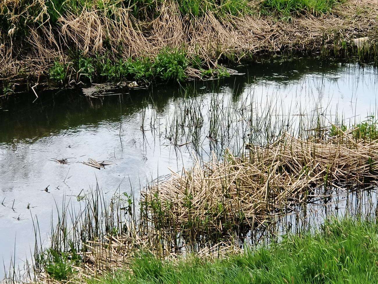 Test Oppo Reno3 - dobre zdjęcia i piękna obudowa w niższej cenie