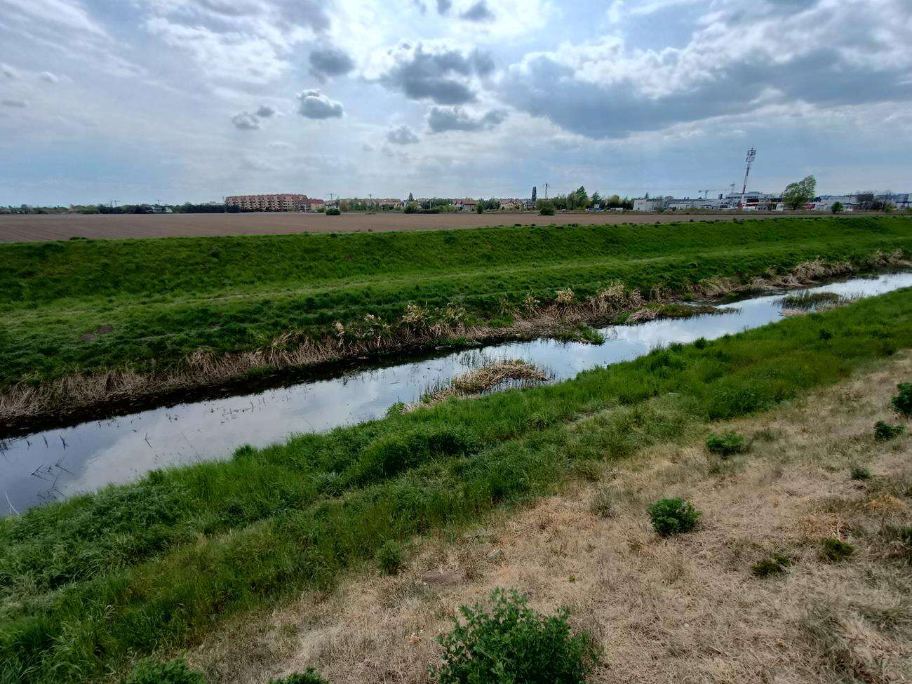 Test Oppo Reno3 - dobre zdjęcia i piękna obudowa w niższej cenie