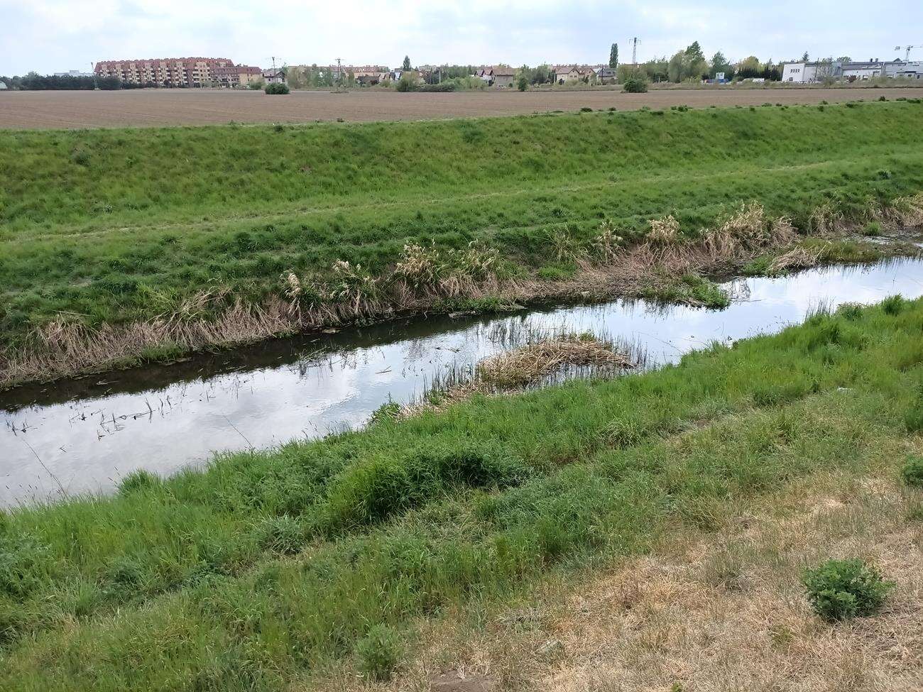 Test Oppo Reno3 - dobre zdjęcia i piękna obudowa w niższej cenie