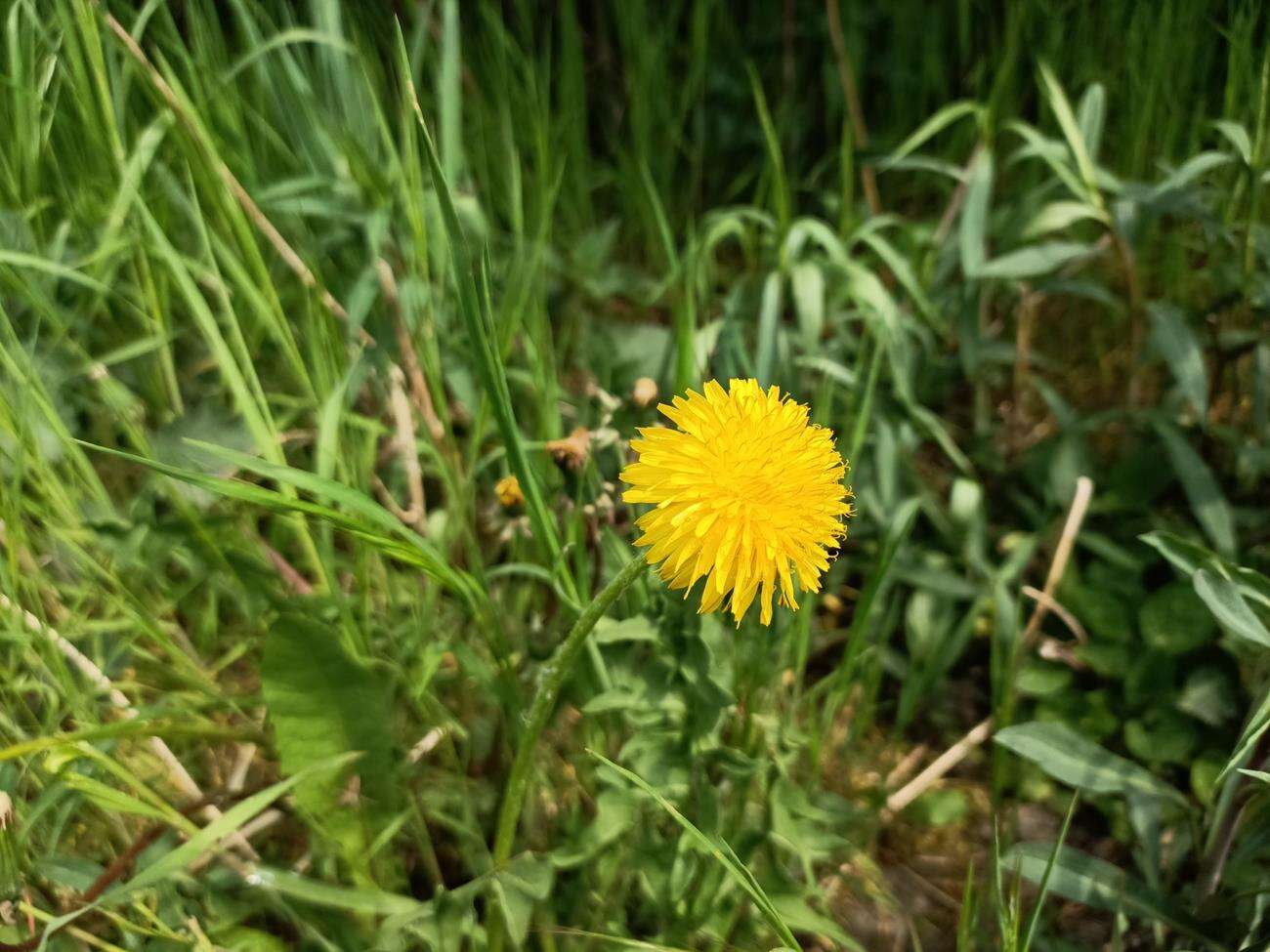 Test Oppo Reno3 - dobre zdjęcia i piękna obudowa w niższej cenie