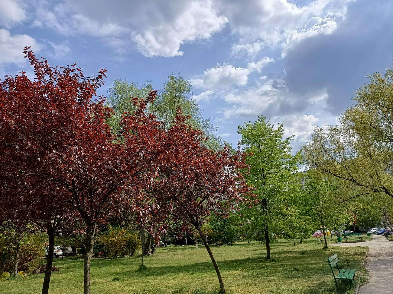 Test Oppo Reno3 - dobre zdjęcia i piękna obudowa w niższej cenie