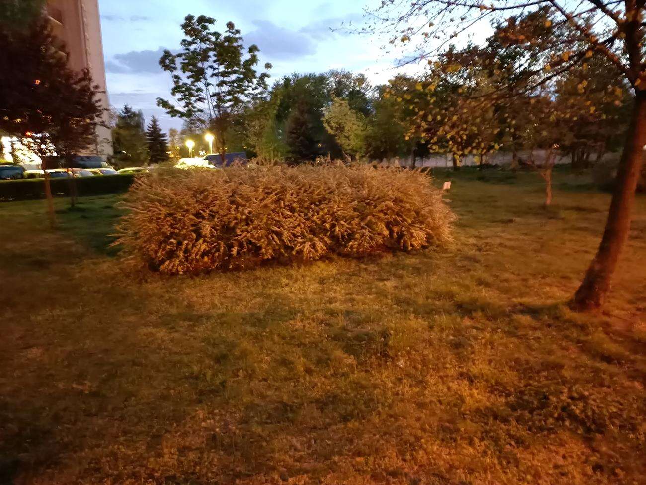 Test Oppo Reno3 - dobre zdjęcia i piękna obudowa w niższej cenie