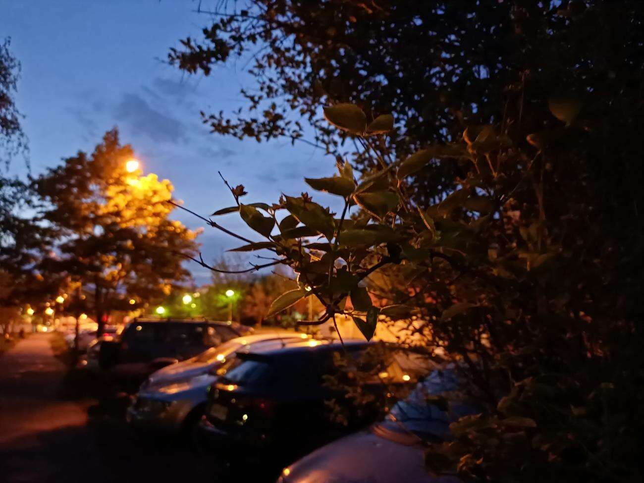 Test Oppo Reno3 - dobre zdjęcia i piękna obudowa w niższej cenie