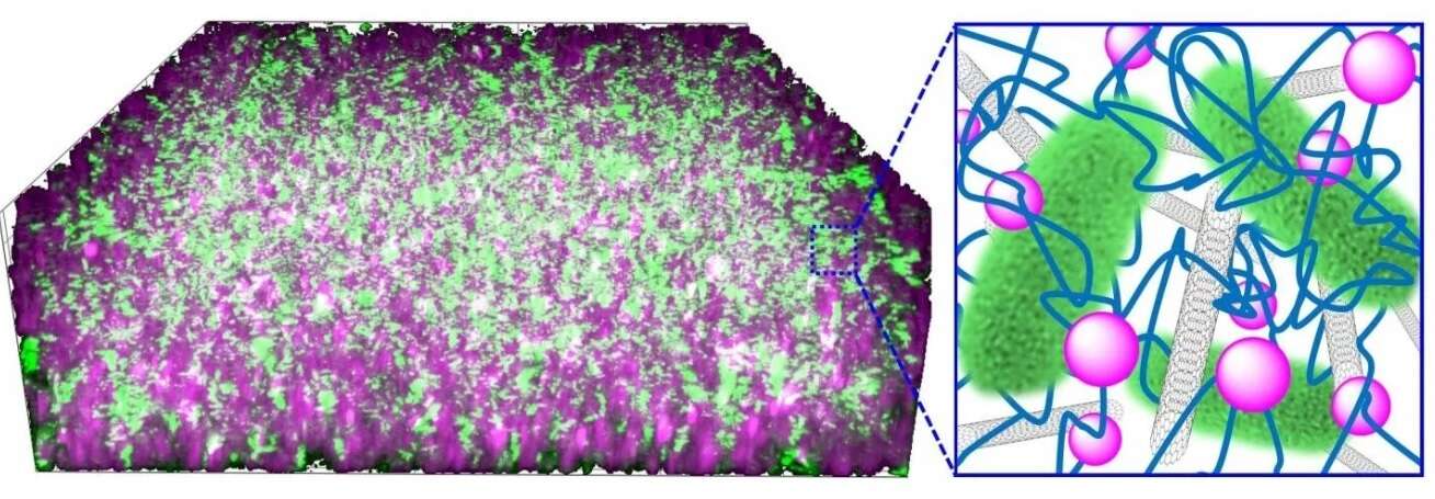 Dzięki temu rozwiązaniu możemy zmienić bakterie w źródła zasilania