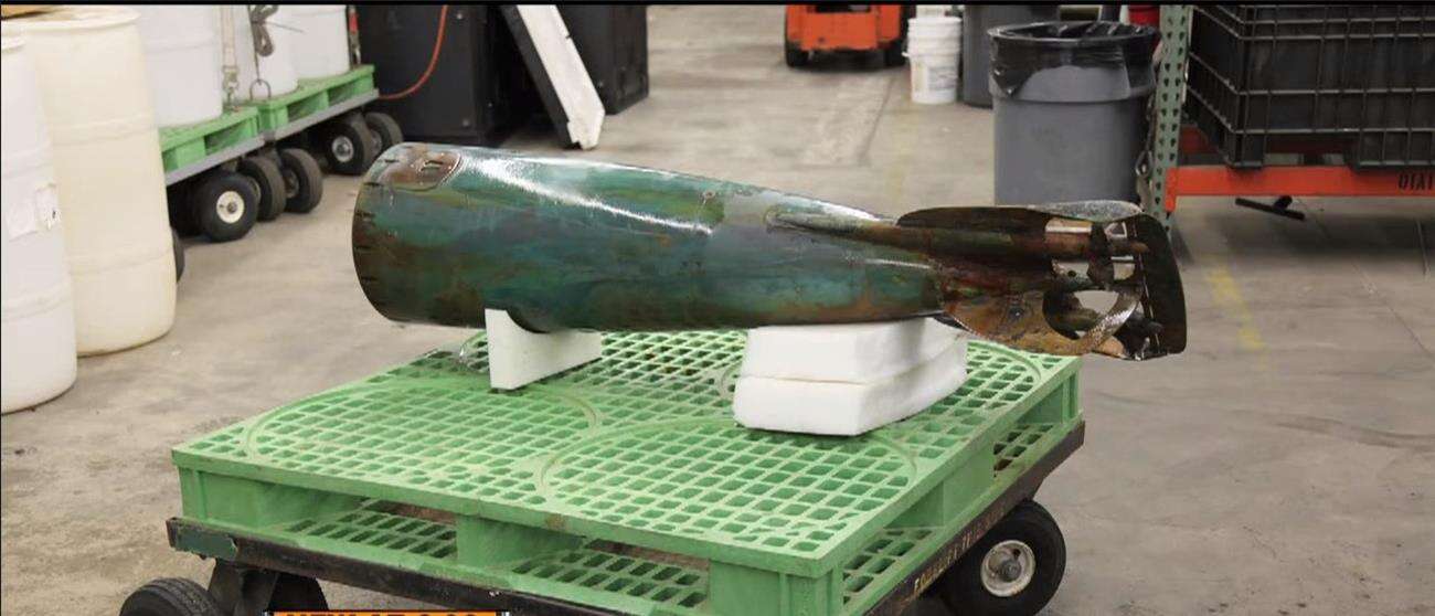 torpeda Howell, delfin torpeda, wyjątkowa torpeda delfin, znaleziska delfinów