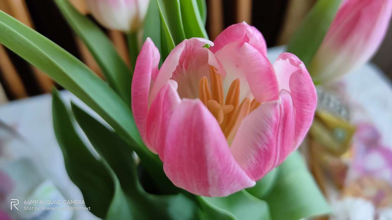 Test Realme 6 Pro – 90 Hz ekran w przystępnej cenie!