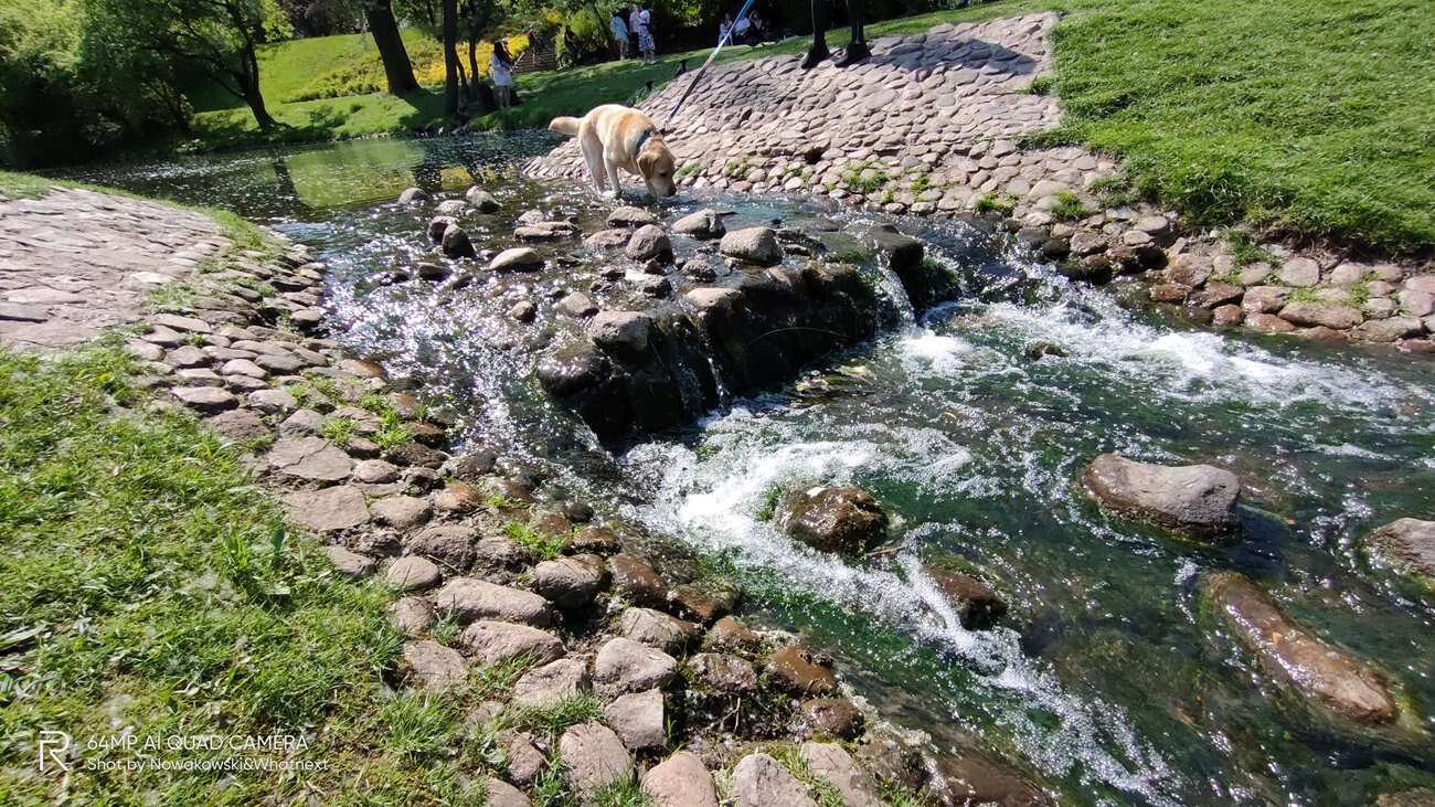 Test Realme 6 Pro – 90 Hz ekran w przystępnej cenie!