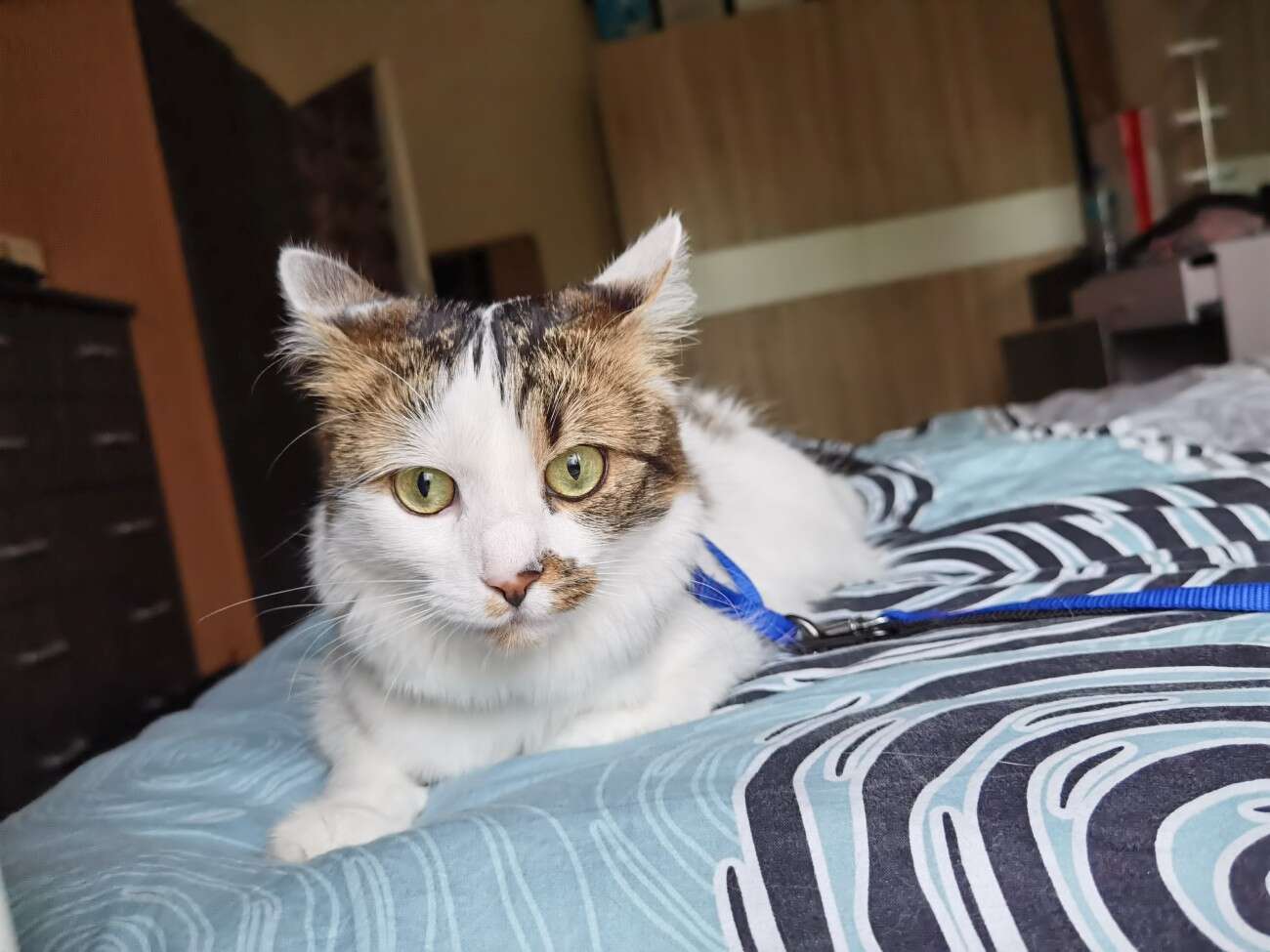 Test telefonu Huawei P40. Te mniejsze flagowce to są jednak fajne