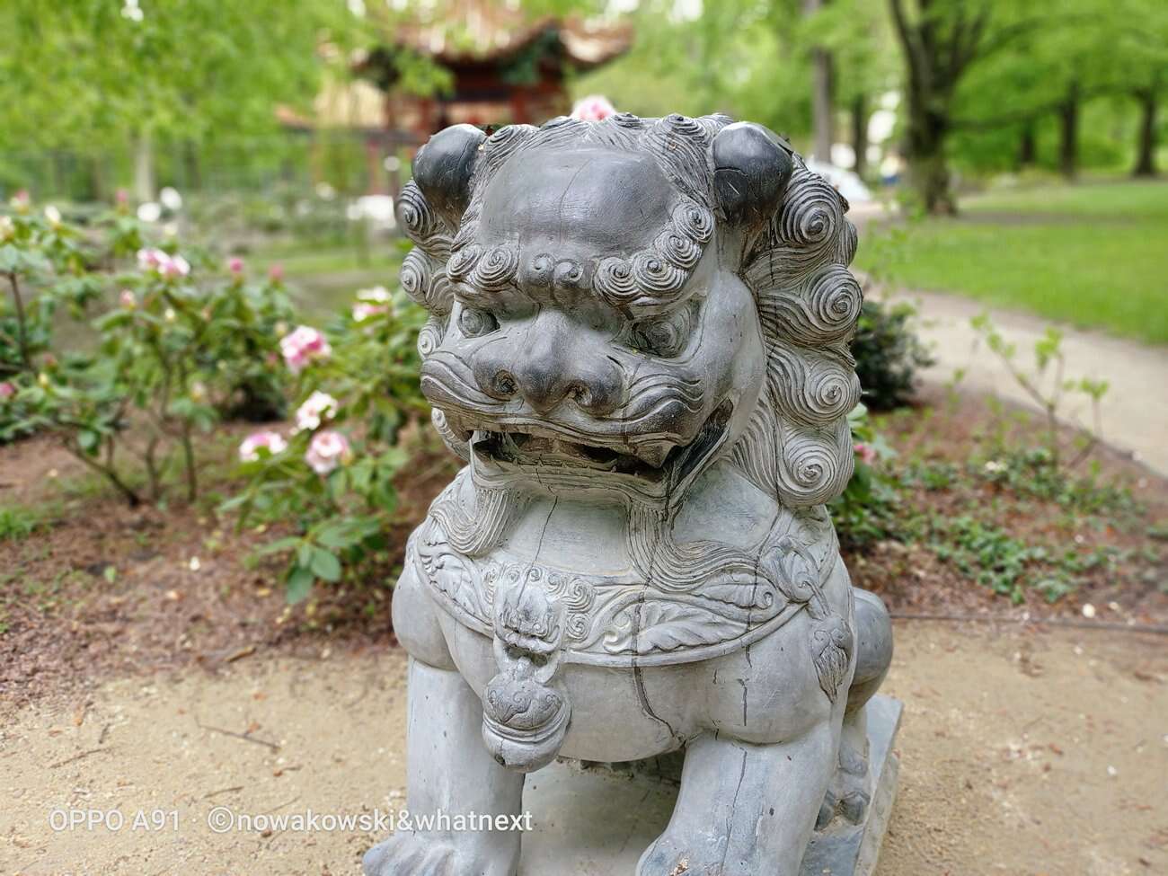 Test Oppo A91 – Średniak z rewelacyjnym czytnikiem pod ekranem