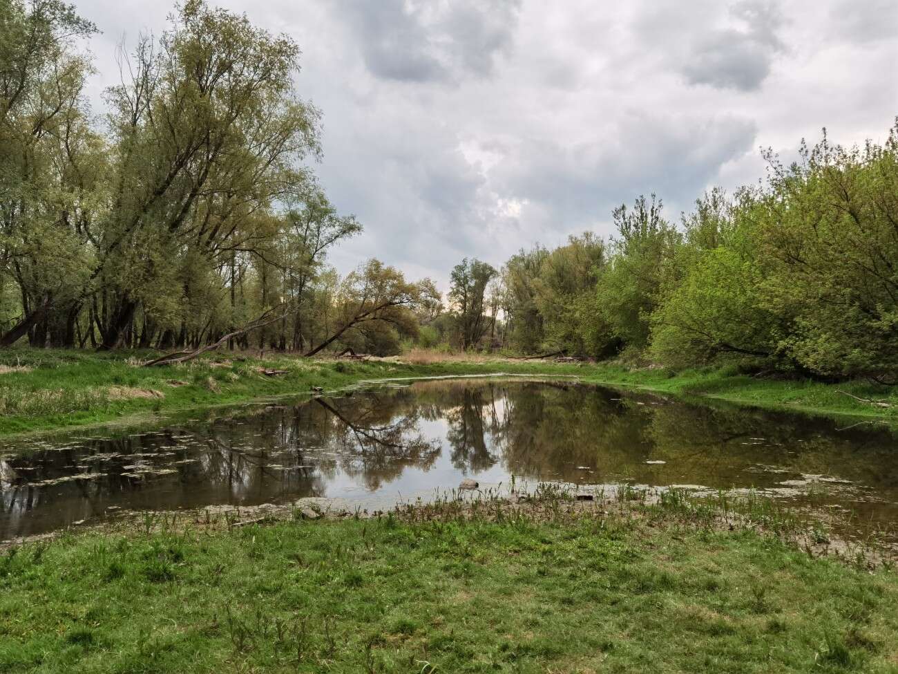 Test telefonu Huawei P40. Te mniejsze flagowce to są jednak fajne