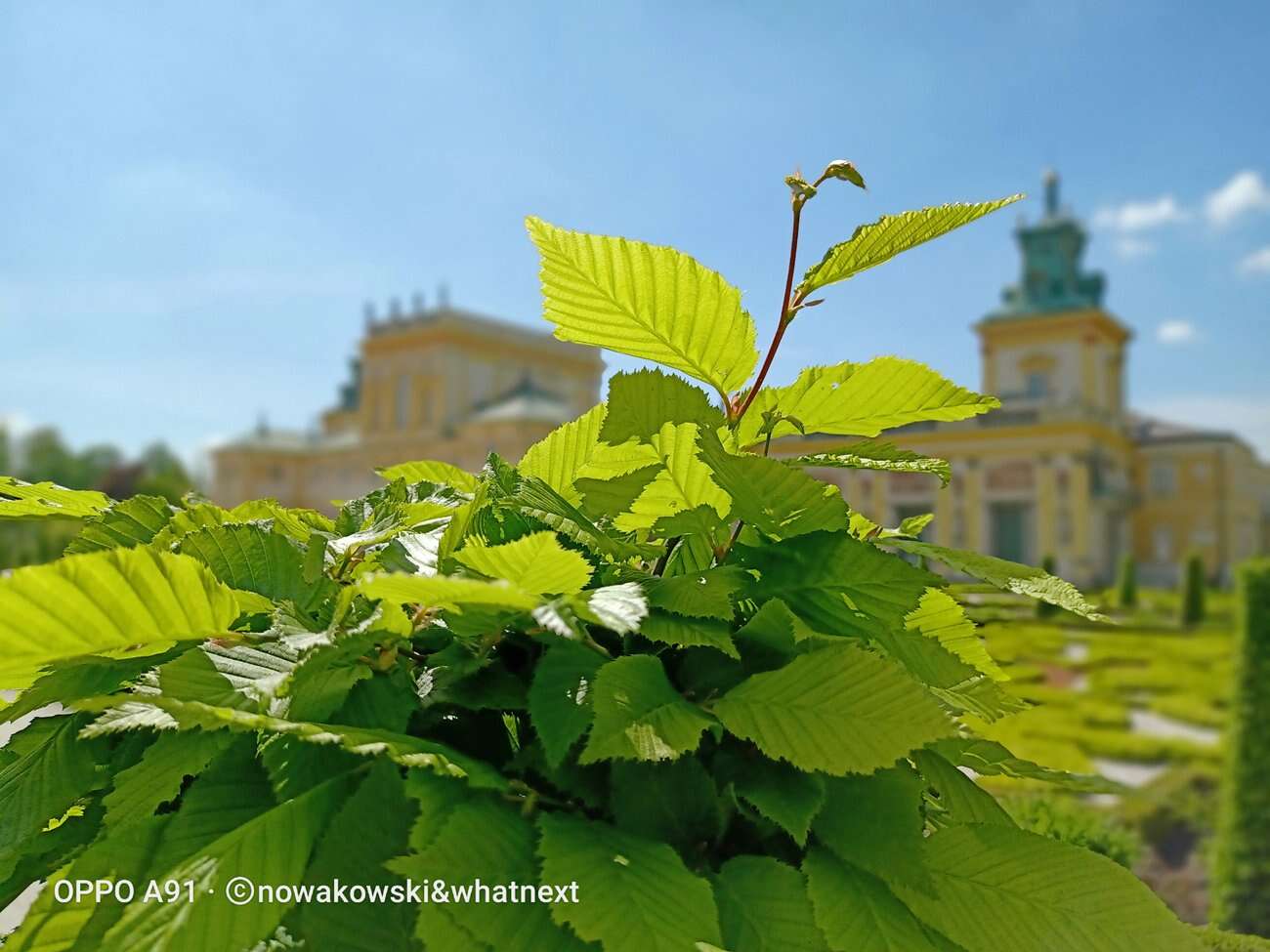 Test Oppo A91 – Średniak z rewelacyjnym czytnikiem pod ekranem